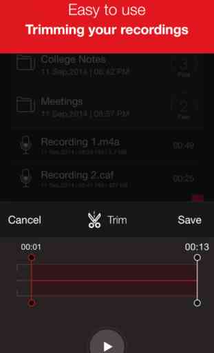 Recorder Plus : Professional Audio And Voice Memo Recording with Audio Player And Trimming And Sharing to Cloud Drives 4