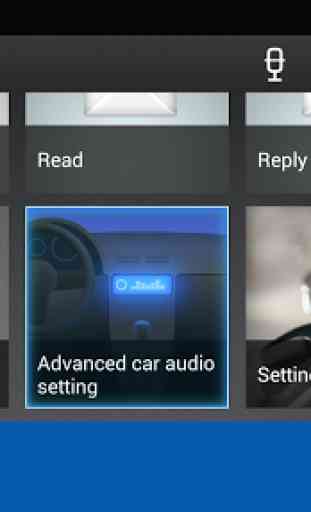 Advanced car audio setting 1