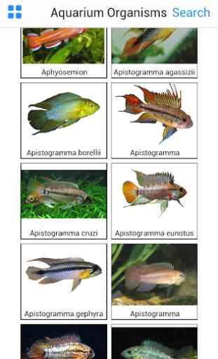 Aquarium Organisms 1