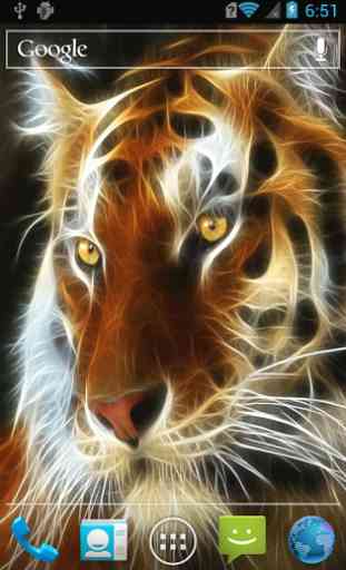 Auburn tiger LWP 1