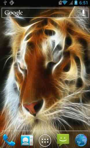 Auburn tiger LWP 2
