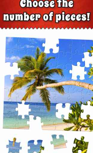 Jigsaw Puzzle Bug 3