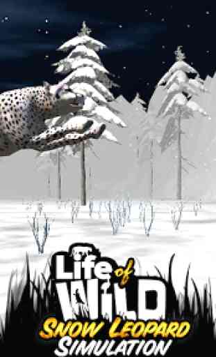 Life of Wild Snow Leopard 3D 2