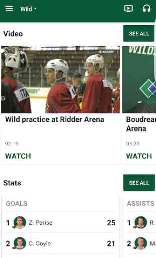 MN Wild Official 2