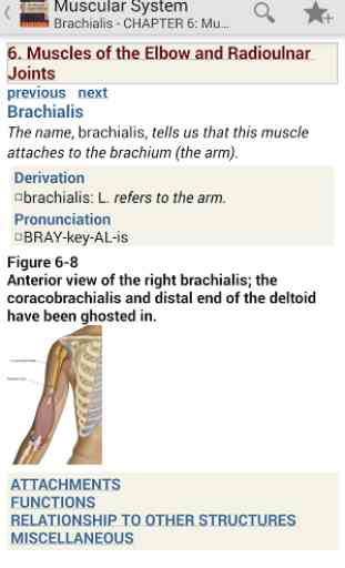 Muscular System Manual 1