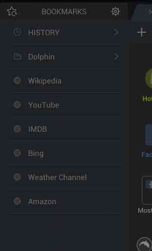Night Mode For Dolphin Browser 1