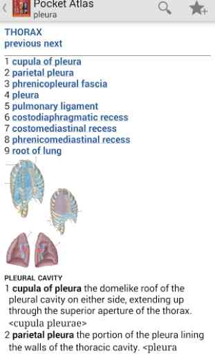 Pocket Atlas of Anatomy TR 3