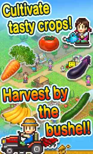 Pocket Harvest 1
