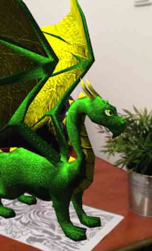 Real Dragon Pet 4