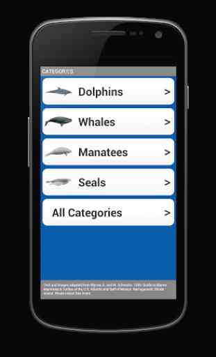 See & ID Dolphins & Whales 2