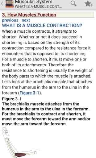 The Muscular System Manual 4