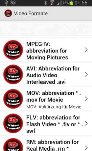 Video Formats Overview 2