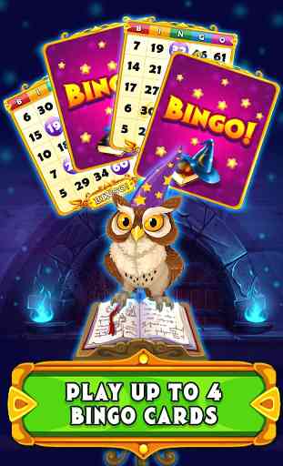 Wizard of Bingo 3