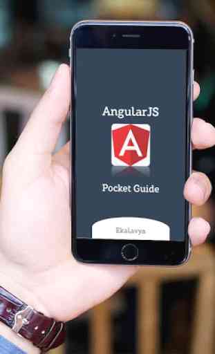 AngularJS : Pocket Guide 1