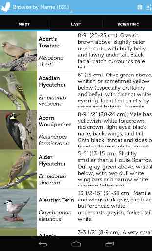 Audubon Birds of North America 3