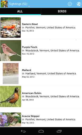 Audubon Birds of North America 4