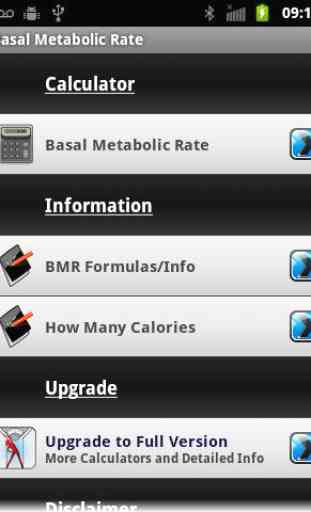 Basal Metabolic Rate 2
