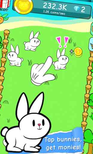 Bunny Rabbit Evolution  1