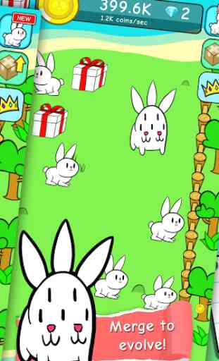 Bunny Rabbit Evolution  2