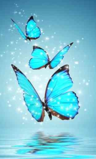 Butterfly Wallpapers 4