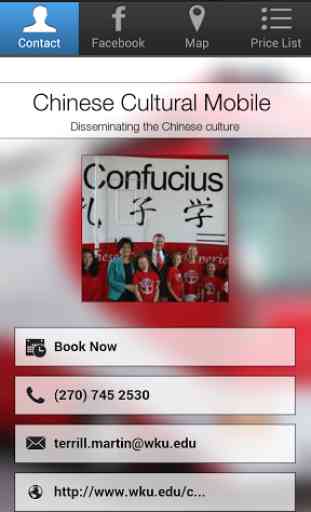 Chinese Cultural Mobile 1