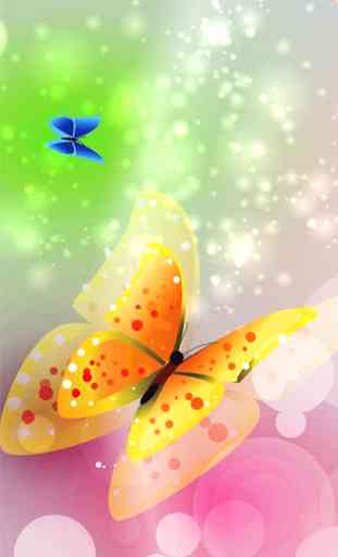 Colorful Butterfly Wallpaper 1