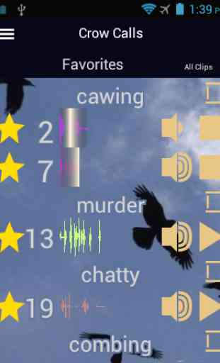 Crow Calls 4