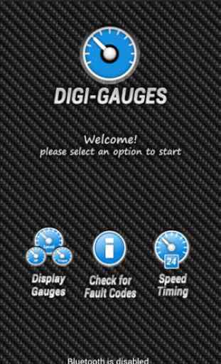 Digi-Gauges (OBD 2 & Car) 3