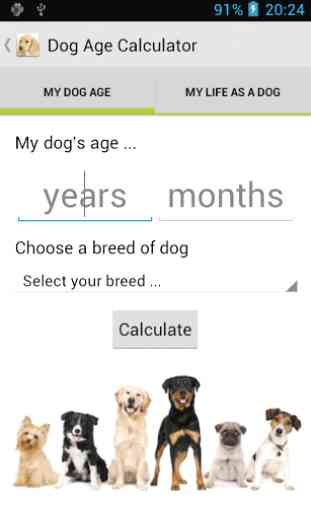 Dog Age Calculator 1