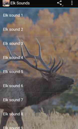 Elk Sounds 1