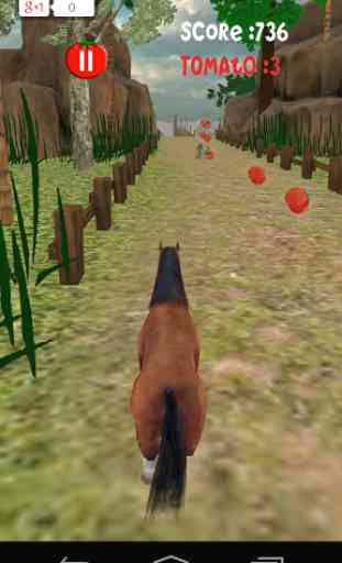 Horse Rush 3D 2