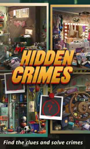 NY: Hidden Crimes 2