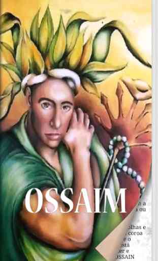 Ossaim 1