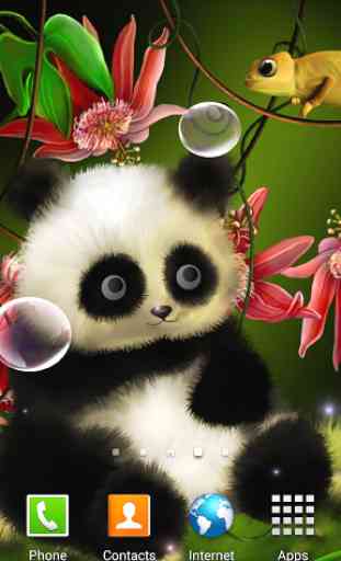 Panda Live Wallpaper 1