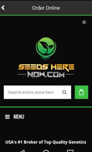 SeedsHereNow 4