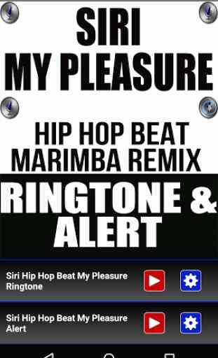 Siri Hip Hop Beat My Pleasure 1