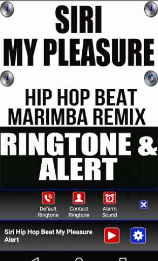 Siri Hip Hop Beat My Pleasure 2