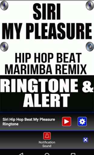 Siri Hip Hop Beat My Pleasure 3