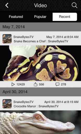 SnakeBytesTV 1