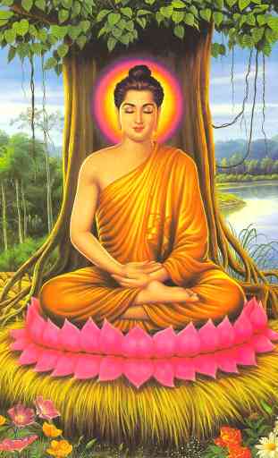 Basic Buddhism 4