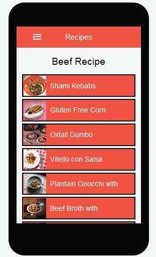 Beef Recipes 3
