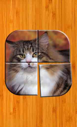 Best Cat Puzzle Games Free 1