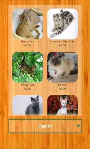 Best Cat Puzzle Games Free 2