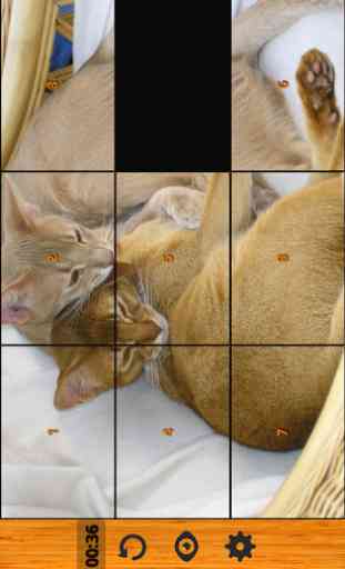 Best Cat Puzzle Games Free 3