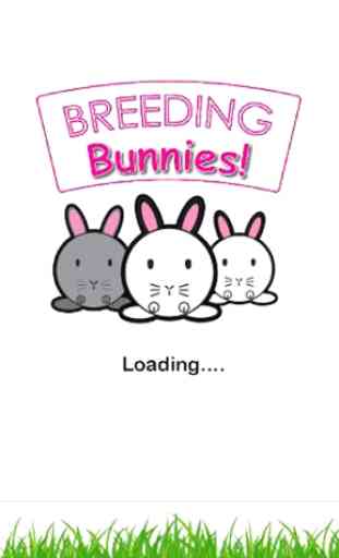 Breeding Bunnies! 1
