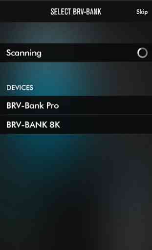 BRV-BANK Battery Monitor 1
