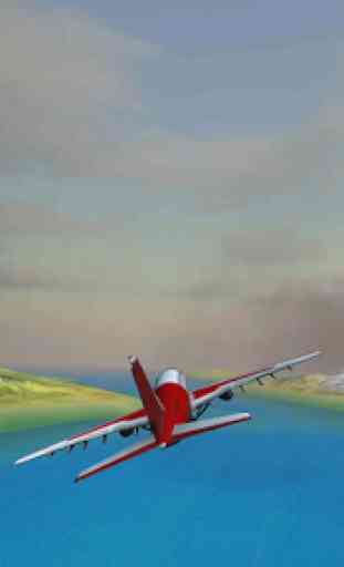 Flight Sim Passenger Plane 1