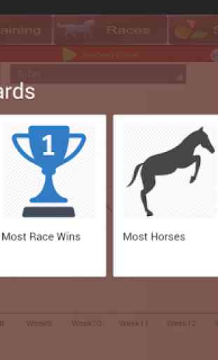 Horse Racing Breeding Game 2