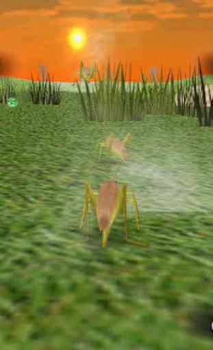Insect Race 2