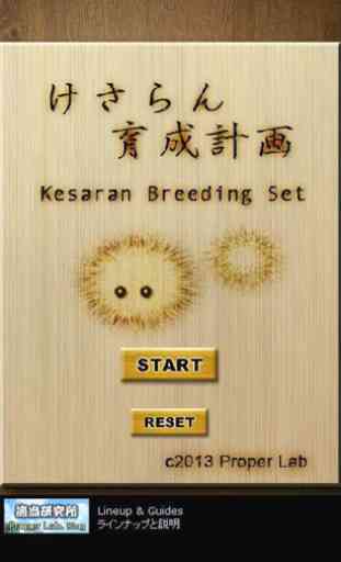Kesaran breeding set 1